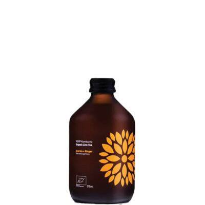 VIGO KOMBUCHA LONGBREW- ACEROLA-GINGER BIO  315ML